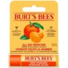 B&M Burt's Bees Sweet Mandarin Lip Balm